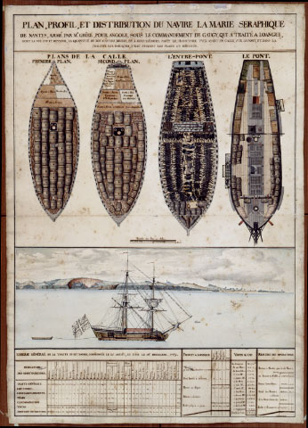Plan, profile, and layout of the ship <i>Marie Séraphique</i> of Nantes