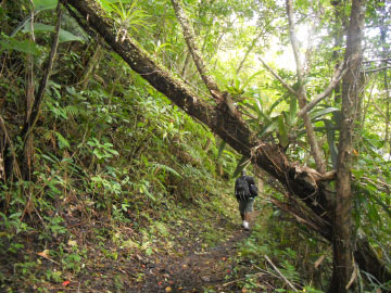 Cunha Cunha Pass Trail