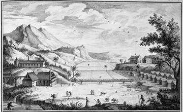 View of a sugar plantation, French West Indies