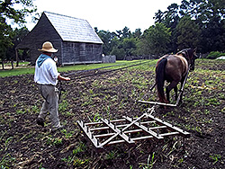 A reproduction harrow that was built using an 18th  century drawing and description.
