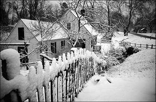 Williamsburg in winter
