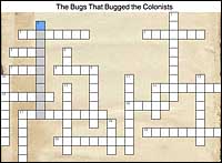 Bugs Crossword Puzzle