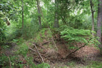 Remnants of a Confederate fort in the Jamestown Island woods