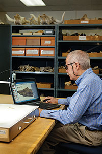 Modern tools, such as this microscope that can be attached to a computer, allow Atkins to get a close look at his subject. 