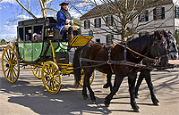 In a scene repeated many times a day, guests have a carriage-eye view of Colonial Williamsburg’s Historic Area.  Coachman Dan Hard guides his horses down Duke of Gloucester Street.