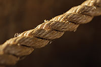 Detail of a hemp rope.