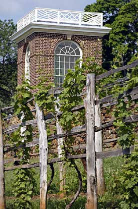 Thomas Jefferson, a wine connoisseur, tried winemaking at Monticello. The picture above shows a modern vineyard adjacent to the house - 