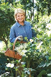 My gardens have always enhanced my menus - Martha Stewart