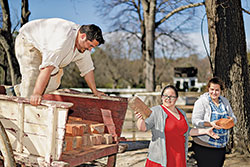 Guests touring the George Wythe House helped load bricks onto an ox cart wagon.