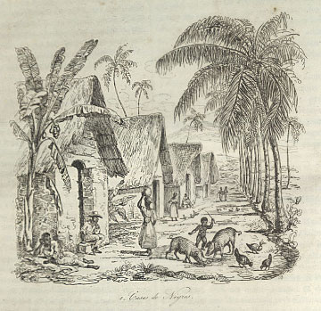 Credit: Image Reference NW0309, as shown on www.slaveryimages.org, compiled by Jerome Handler and Michael Tuite, and sponsored by the Virginia Foundation for the Humanities and the University of Virginia Library “Cases de Negres”