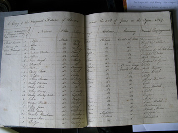 Credit: Museum of London Docklands <i>A Copy of the Original Return of Slaves made the 30th of June in the Year 1817</i>
