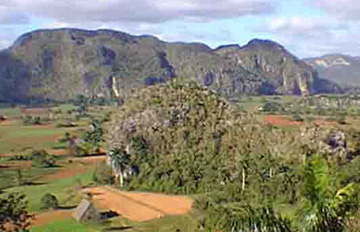 Credit: Slave Route Project, Cuba Tobacco cultivation in Viñales Valley, Cuba