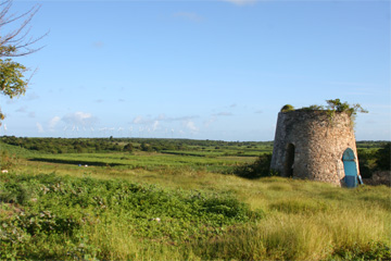 Credit: The Slave Route—Traces of Memory in Guadeloupe La Mahaudière Plantation, Guadeloupe