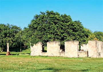 Credit: The Slave Route—Traces of Memory in Guadeloupe La Mahaudière Plantation, Guadeloupe