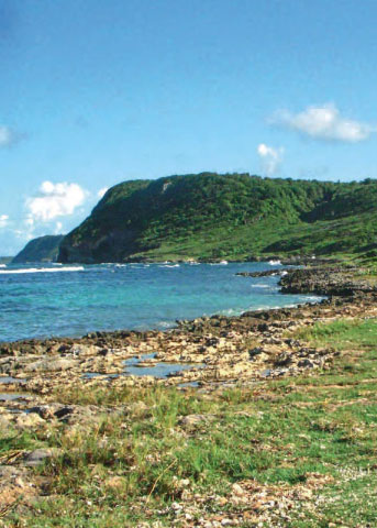 Credit: The Slave Route—Traces of Memory in Guadeloupe Slave burial ground of Anse Sainte-Marguerite