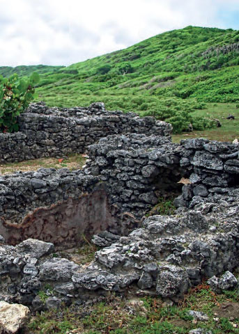 Credit: The Slave Route—Traces of Memory in Guadeloupe Indigo Plantations of the East Coast