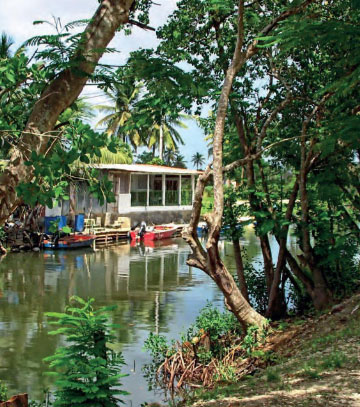 Les Rotours Canal, Guadeloupe