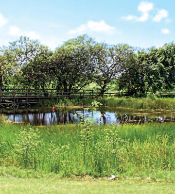 Credit: The Slave Route—Traces of Memory in Guadeloupe Punch Pond