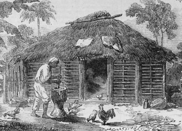 Credit: Image Reference ILN435b, as shown on www.slaveryimages.org, compiled by Jerome Handler and Michael Tuite, and sponsored by the Virginia Foundation for the Humanities and the University of Virginia Library. “Exterior of Kitchen”