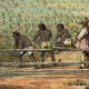 Related Page A0011