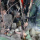 Object OB0178