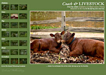 Livestock slideshow