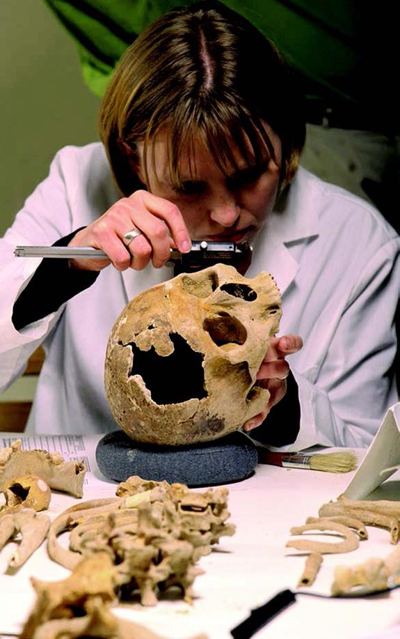 Forensic anthropologist Karin Bruwelheide measuring a colonial-era skull at the Smithsonian Institution’s Museum of Natural History.