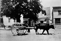 An early photo shows an ox cart on Duke of Gloucester Street passing by the Printing Office building before it was restored.