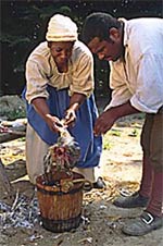 Woman plucking a chicken
