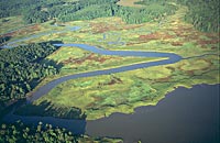 An aerial view of a creek that flows into the York River, as it winds through time and green expanse.