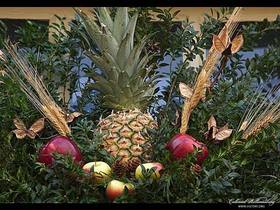 Wreath decorated with pineapple