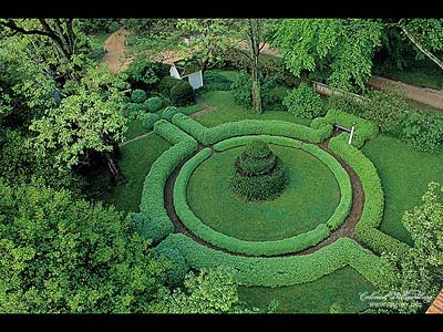 Geometric garden