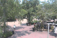 Merchant Square Cam view
